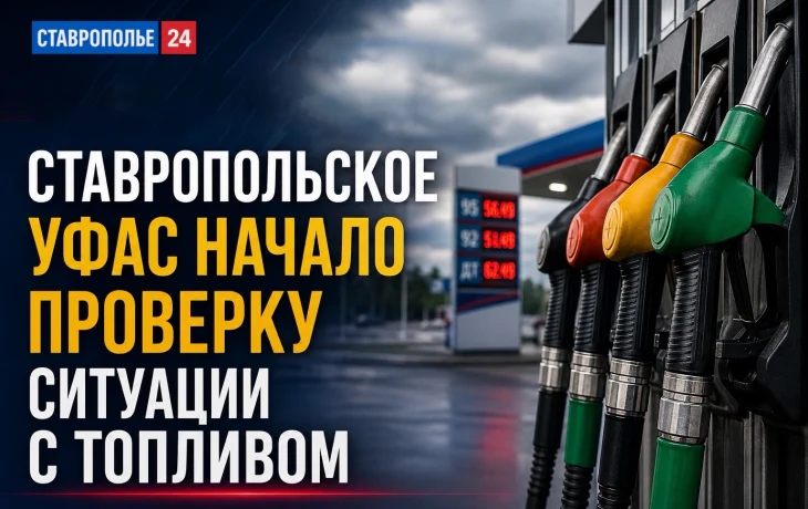 Ставропольское УФАС проверяет ситуацию с поставками и продажей топлива