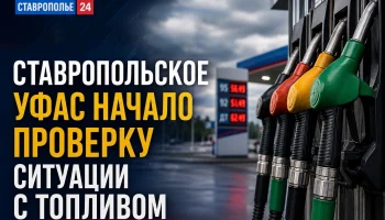Ставропольское УФАС проверяет ситуацию с поставками и продажей топлива