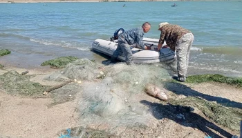 Егорлыкское водохранилище очистили от браконьерских сетей