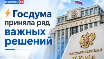 Госдума разрешила регионам запрещать продажу вейпов и усилила борьбу с кибермошенничеством
