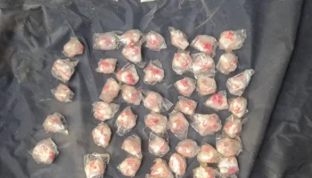 ​Более 800 капсул прегабалина изъяли полицейские на Ставрополье у двух жителей Невинномысска